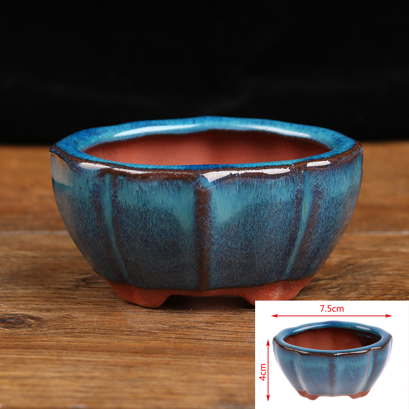 1 pçs bonsai mini vaso de cerâ - Echeveria Succulent avaliação e preço
