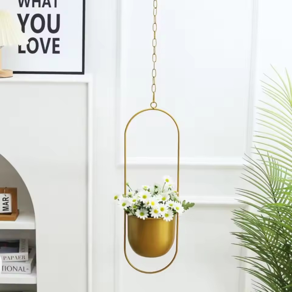 Cesta de suspensão de planta d - Echeveria Succulent avaliação e preço