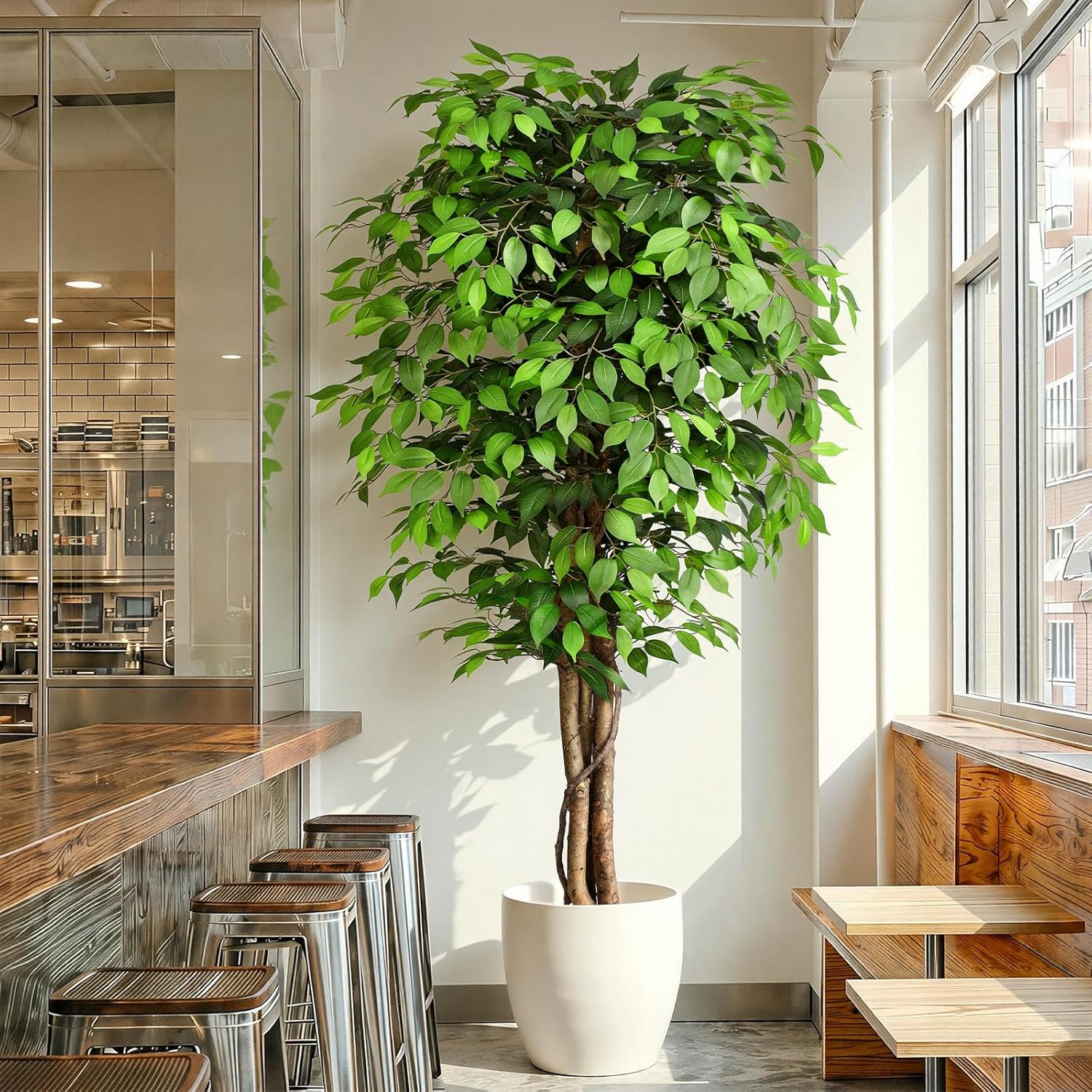 Árvore Ficus Artificial Realis - Ficus Lyrata Tree avaliação e preço