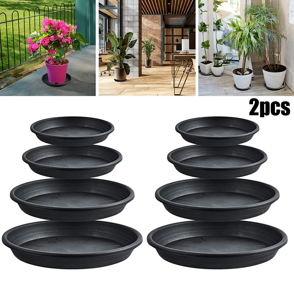 2 pçs bandejas de plantas redo - Echeveria Succulent avaliação e preço