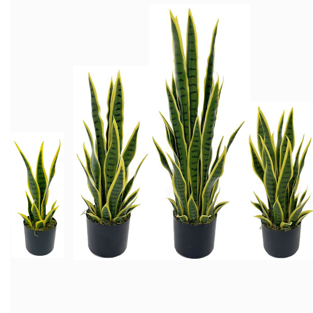 Planta Artificial Sansevieria  - Ficus Lyrata Tree avaliação e preço
