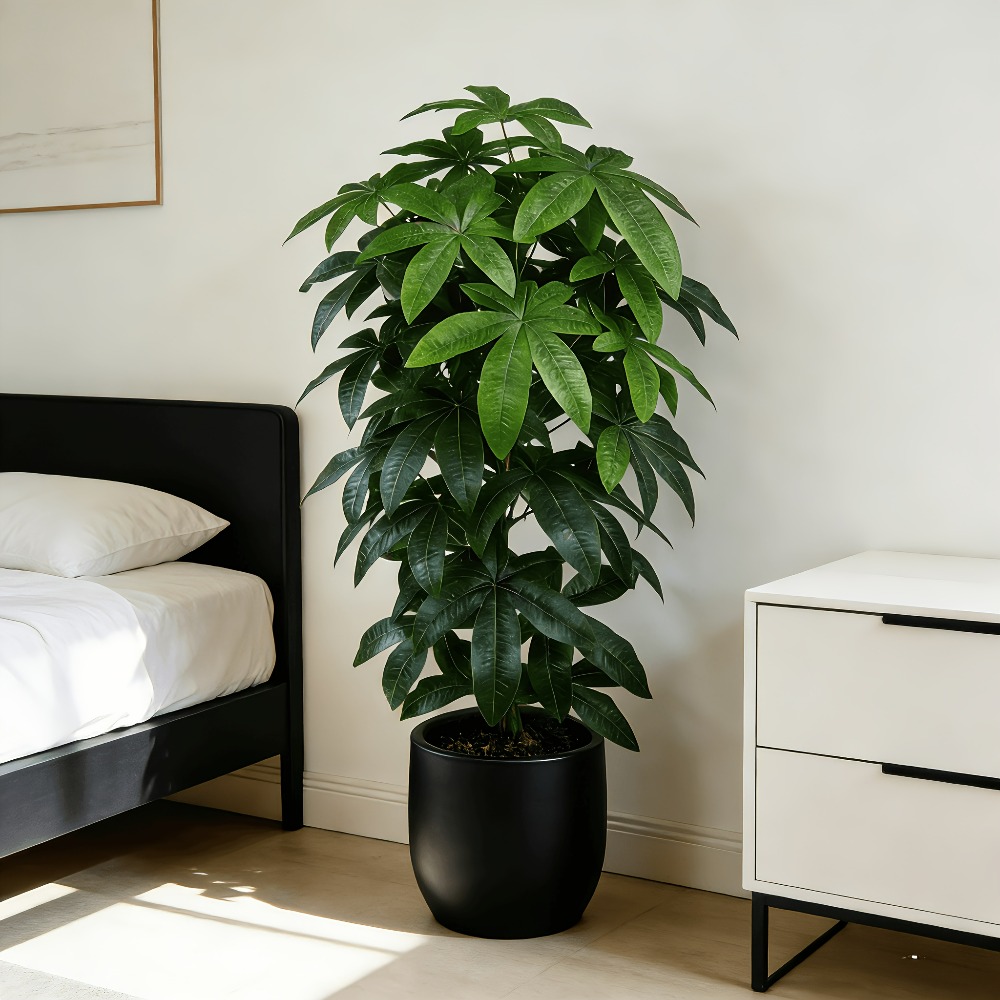 Árvore do Dinheiro Artificial  - Ficus Lyrata Tree avaliação e preço